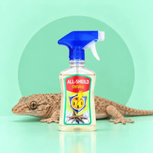 All Shield Insecticide Spray 250ml