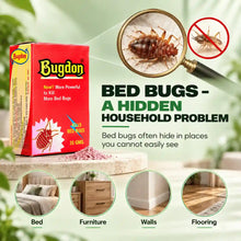 Bed bugs hiding in household areas