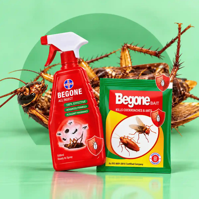 Begone Bait + Begone Insect Spray 250ml Combo | Cockroach & Insect Killer 