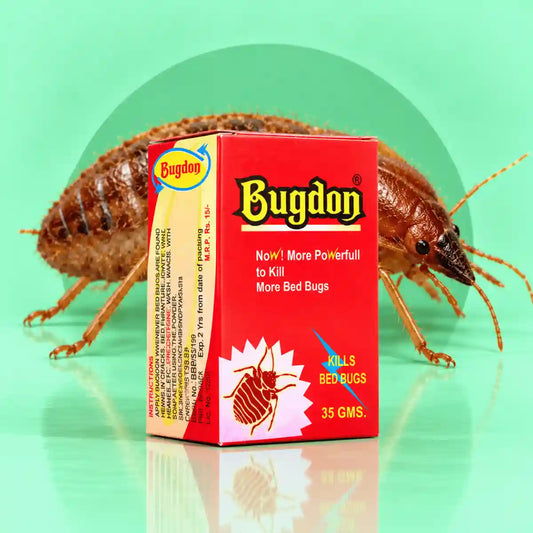 Bugdone Bed Bug Killer Powder 35g