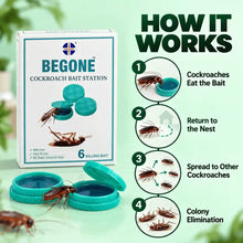 BEGONE cockroach bait station working process