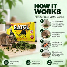 Rat Killer Cake How It Works with Effective Rodent Control Steps