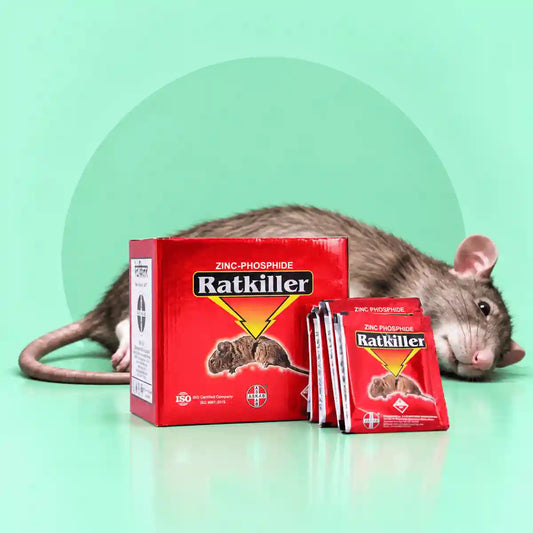 Ratkiller Zinc Phosphide Powder 10g