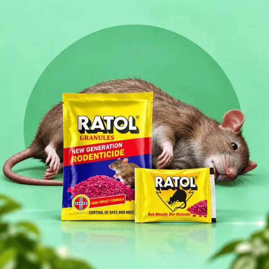 RATOL Cake 25g + RATOL Granules Combo