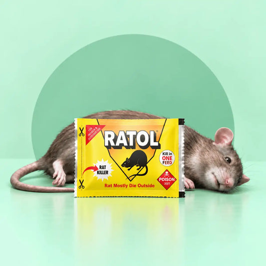 Ratol Rat Killer Cake
