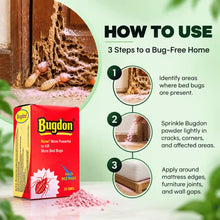 How to use bed bug powder