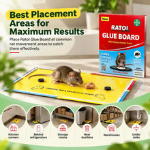Ratol glue board placement areas in the home