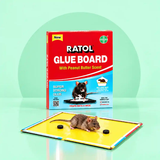 Ratol Mouse Glue Trap
