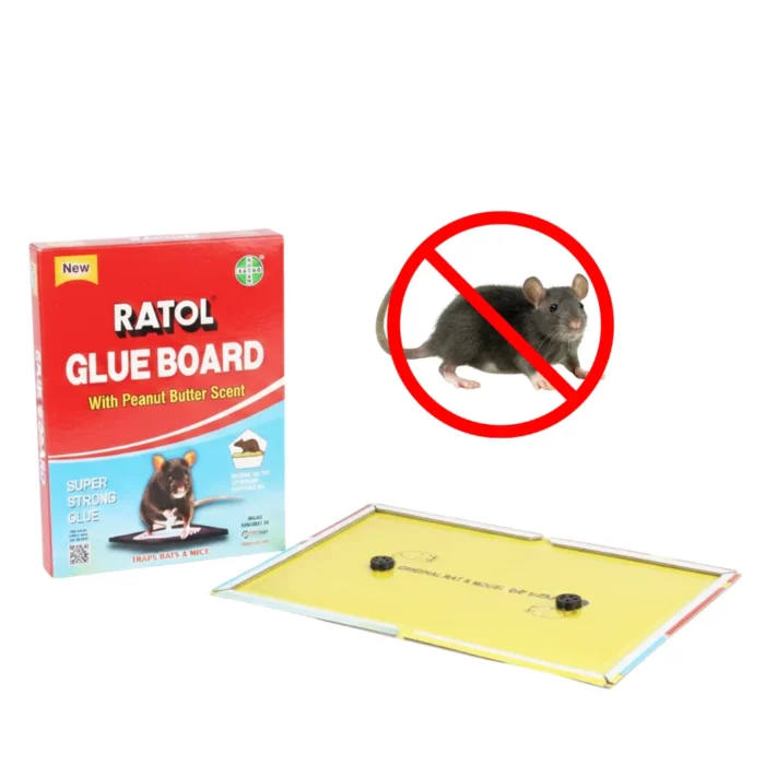 Mouse Glue Trap