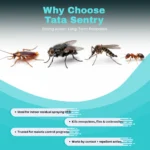 Mosquito Control Chemical Tata Sentry - Image 3