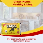 RATOL CAKE - Image 3