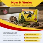 RATOL CAKE - Image 4