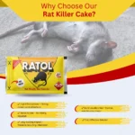 RATOL CAKE - Image 2