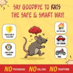 RATOL SPRAY - Image 4