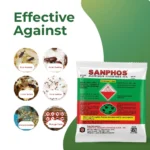 Sanphos Sandhya pouch 10 gm - Image 8