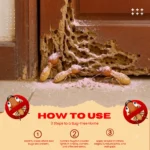 BUGDONE POWDER 35 GM - Image 3