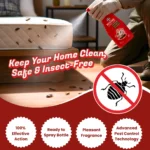 Begone All Insect Spray 250ml Ready to Use Bottle for Cockroaches Ants and Crawling Insects