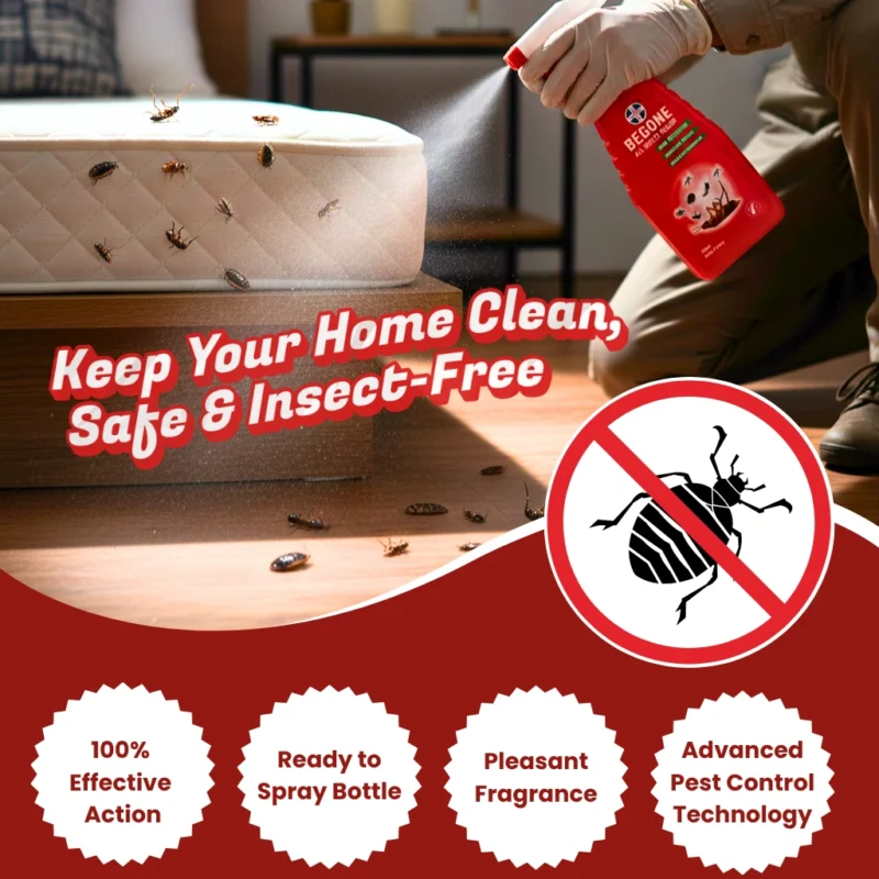 Begone All Insect Spray 250ml Ready to Use Bottle for Cockroaches Ants and Crawling Insects