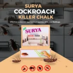 Surya Chalk - Image 2