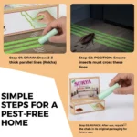 Surya Chalk - Image 4