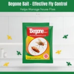 BEGONE BAIT - Image 2