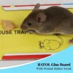 MOUSE GLUE TRAP - Image 7
