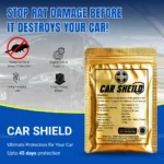 Carshield - Image 2