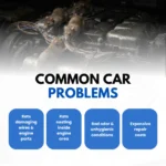 Carshield - Image 4