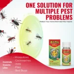 BUGDON LIQUID - Image 3