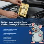 Carshield - Image 3