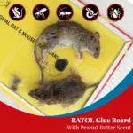 MOUSE GLUE TRAP - Image 2